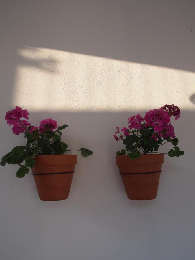 Suites 9 Malaga, Three Unique Suites With Private Plunge Pool Exteriör bild